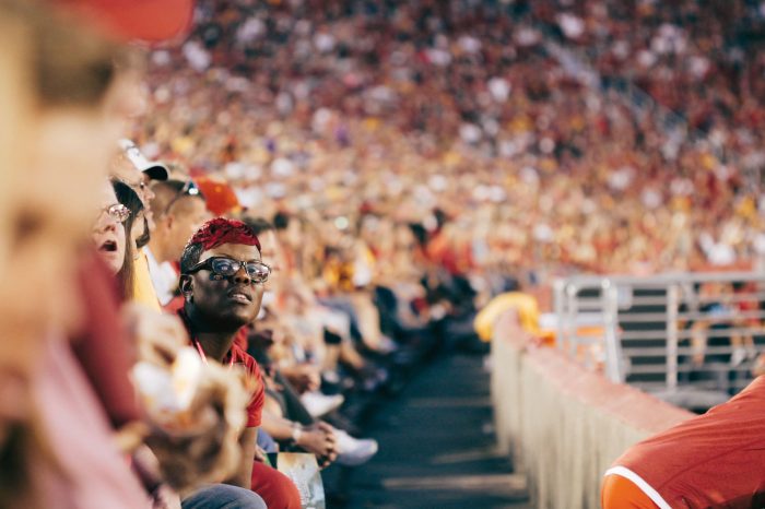 Image of large crowd in stadium